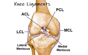 Ligament and Sports Injury